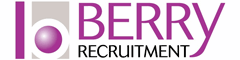 Cleaner Logo